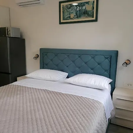Guest house And Tomas 3*