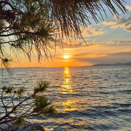 招待所 托马斯公寓及客房酒店 珀德垂那