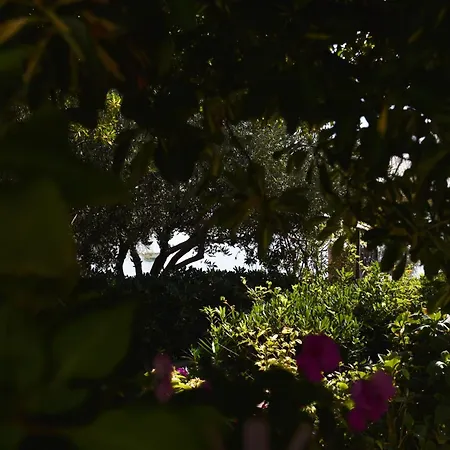 托马斯公寓及客房酒店 3*