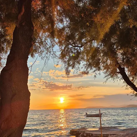 托马斯公寓及客房酒店 招待所 珀德垂那