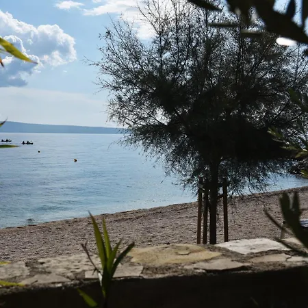 托马斯公寓及客房酒店 招待所 3*